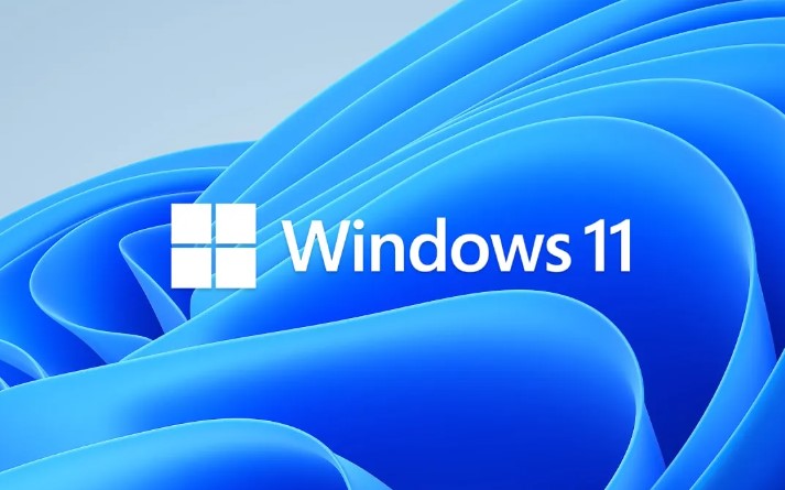 windows 11 icon